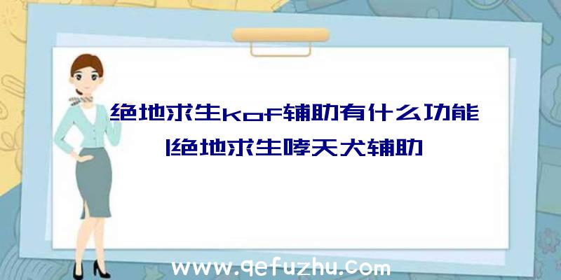 「绝地求生kof辅助有什么功能」|绝地求生哮天犬辅助